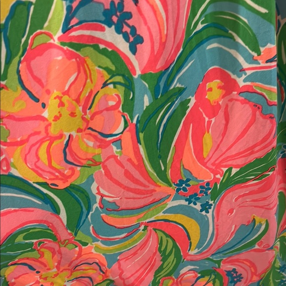Lilly Pulitzer Colorful Maxi Dress - Picture 5 of 6